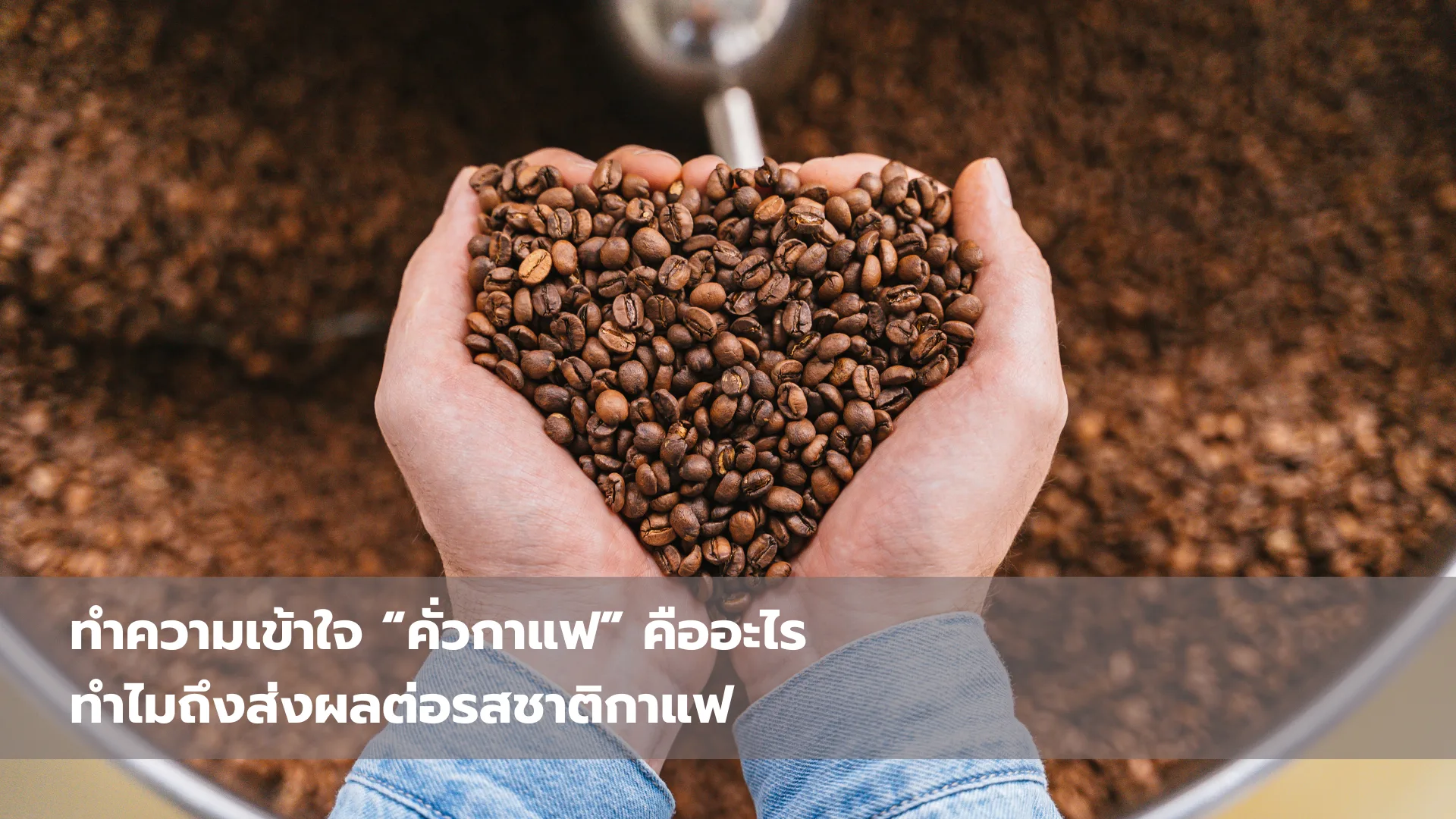 ทำความเข้าใจ “คั่วกาแฟ” คืออะไร ทำไมถึงส่งผลต่อรสชาติกาแฟ